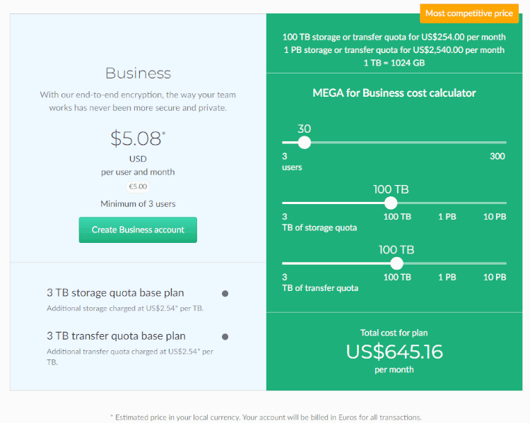 mega business service provider