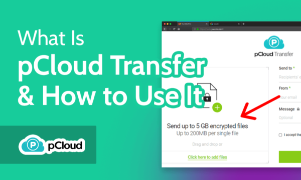 WeTransfer visual data 3