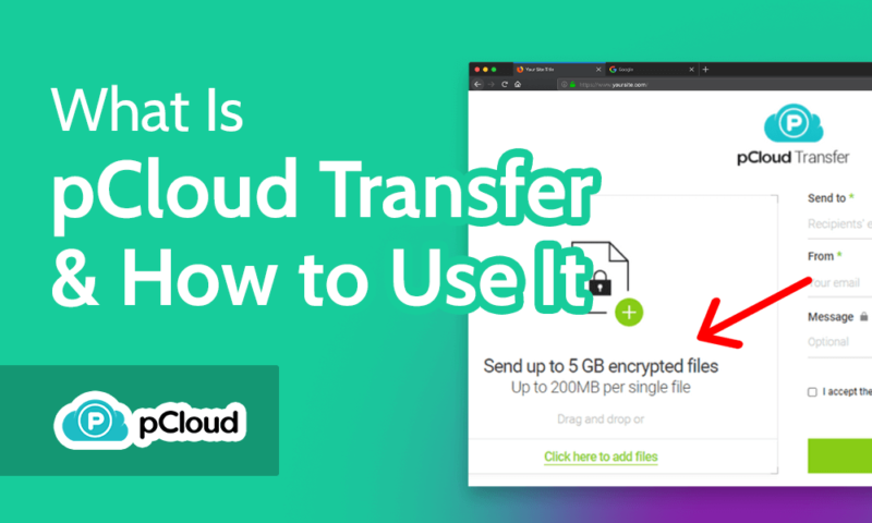 What Is pCloud Transfer & How to Use It