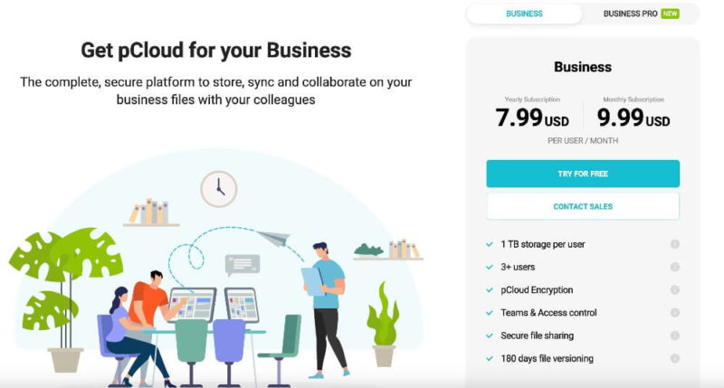 pcloud business prices