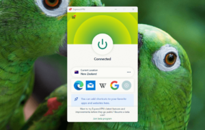 expressvpn-new-zealand expressvpn new zealand