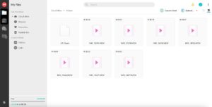 mega-account mega account