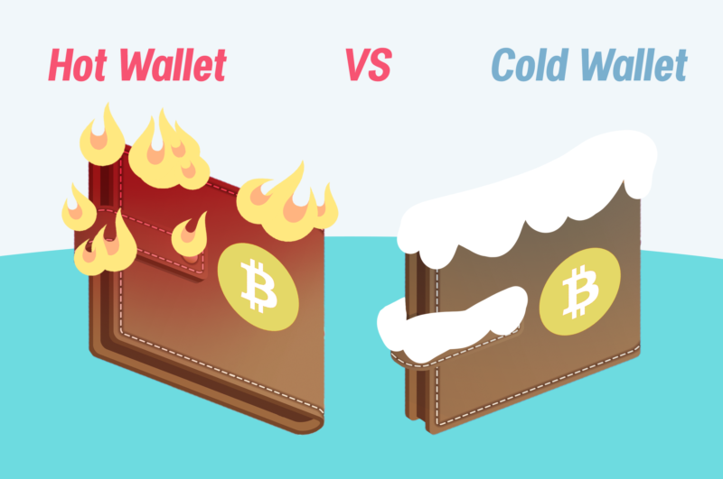 hot wallet cold wallet