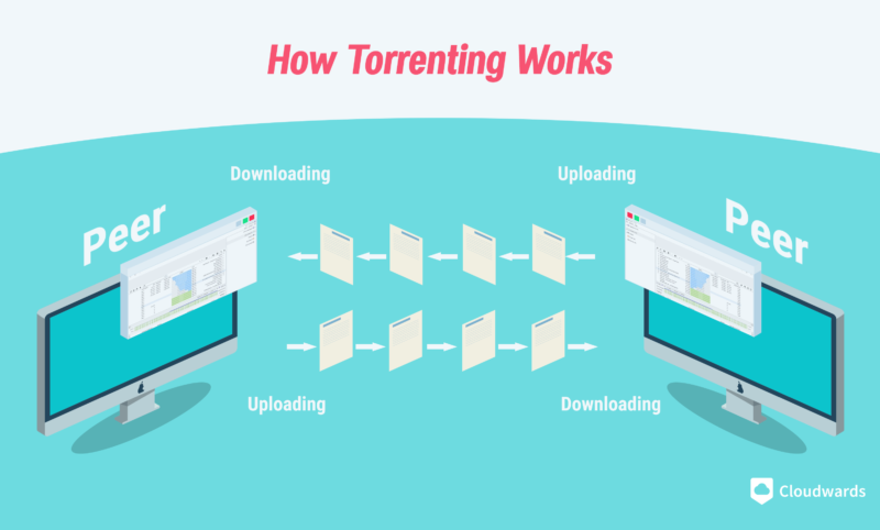 how torrenting works