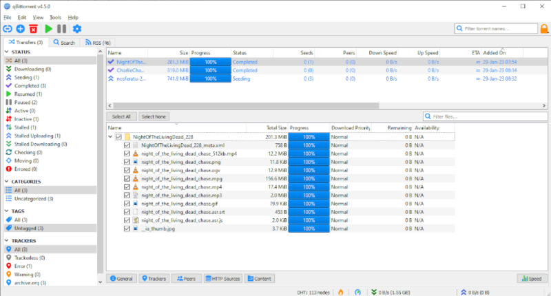 qbittorrent same file view