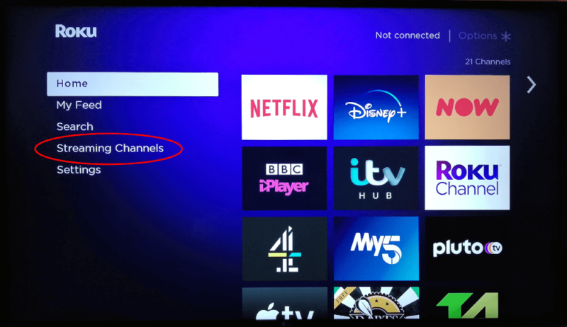 roku device streaming channels