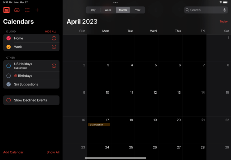 calendar ipad