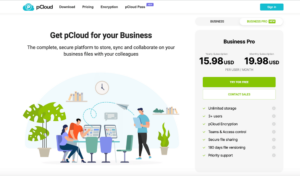 pcloud-business-pricing pcloud business pricing