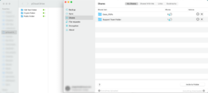 pcloud-drive pcloud drive