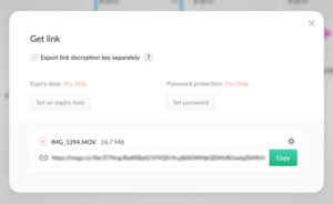mega-file-share mega file share