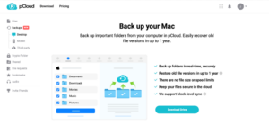 pcloud-backup pcloud backup