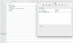 mega-selective-sync mega selective sync