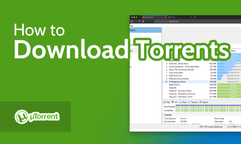 How to Download Torrents