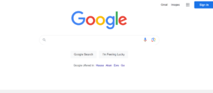 default-google-site default google site