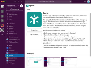 egnyte-slack-info egnyte slack info