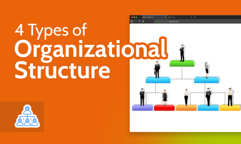 4 Types of Organizational Structure Explained for 2024