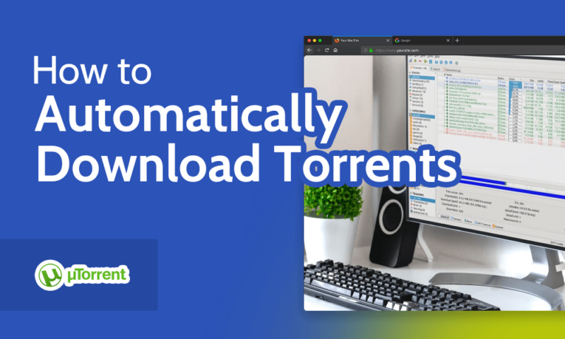 How to Automatically Download Torrents