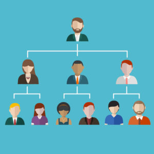 functional-structure functional structure