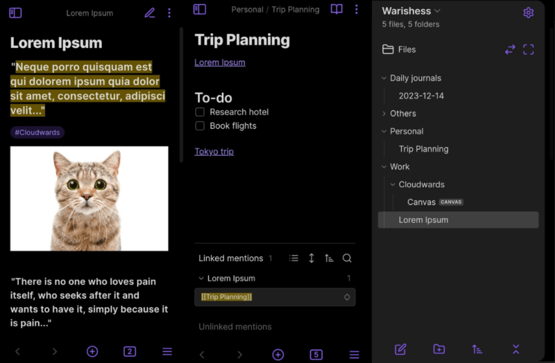 Obsidian-app Obsidian app