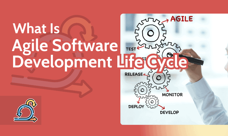 What Is Agile Software Development Life Cycle