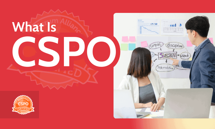 What Is CSPO