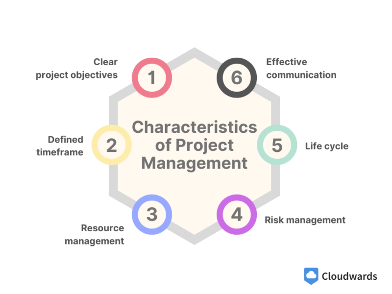 characteristics of project management