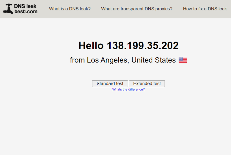 do a DNS leak test