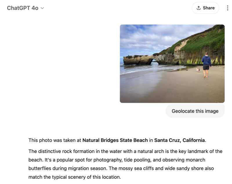 Geolocate-this-image-example-1 ChatGPT 4o geolocates a photo of Natural Bridges State Beach.