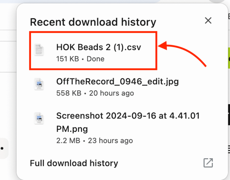 Dropbox downloaded file