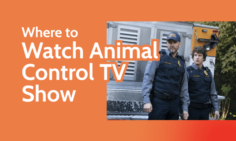 Where to Watch Animal Control TV Show