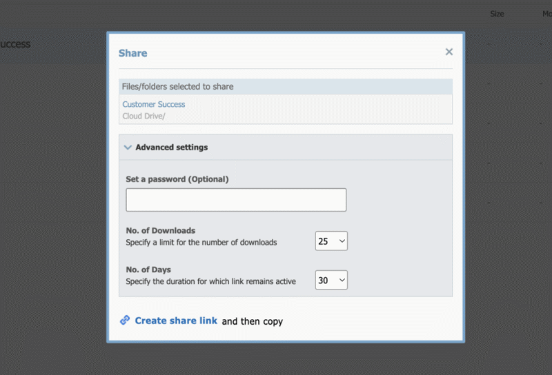 idrive security