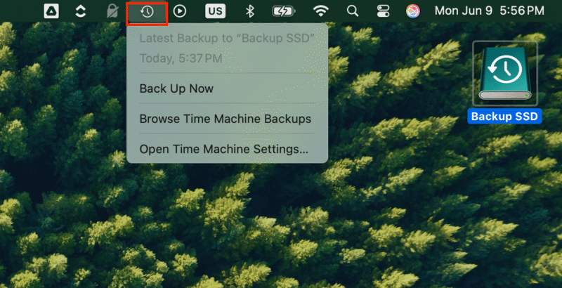Trigger manual backup