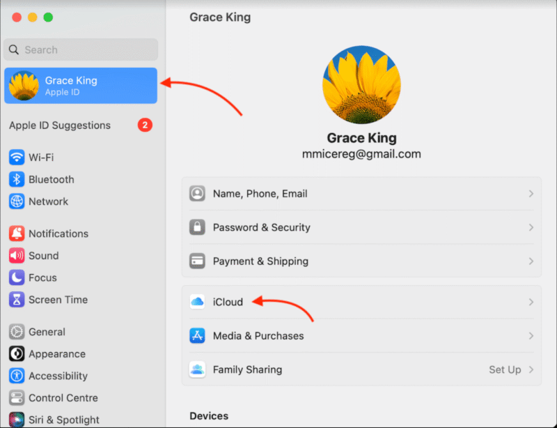 iCloud opening