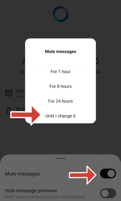 instagram mute period