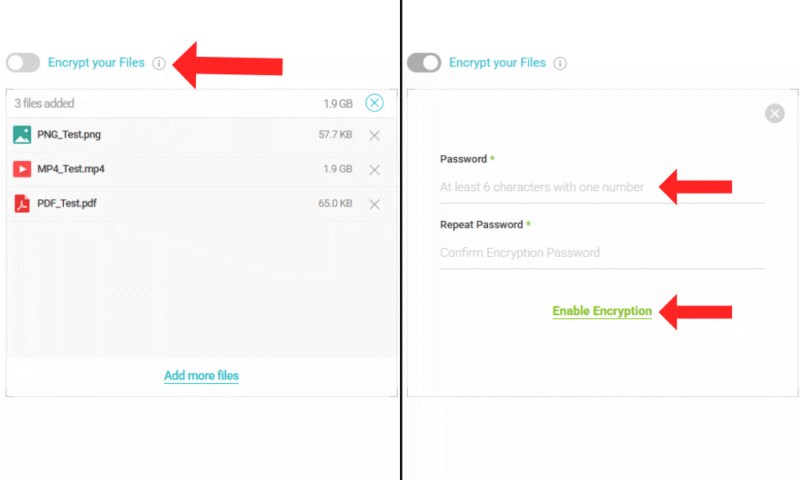 large files pcloud encryption