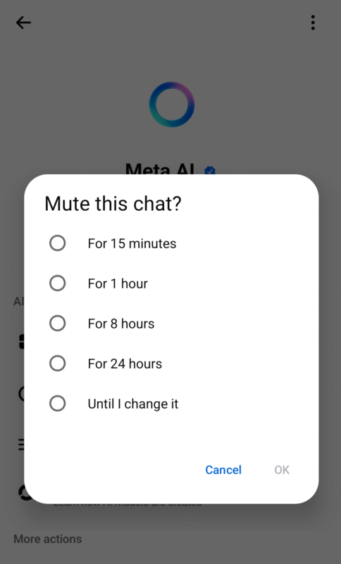 messenger mute period