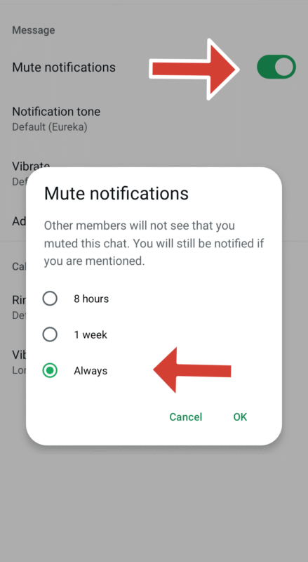 mute period whatsapp ai