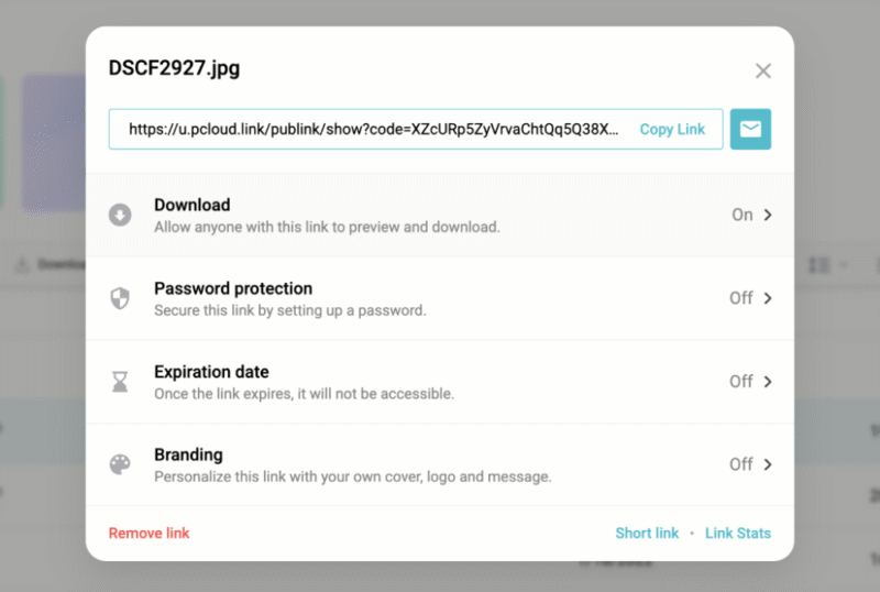 pcloud security
