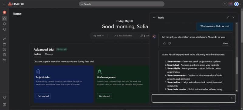 Asana AI