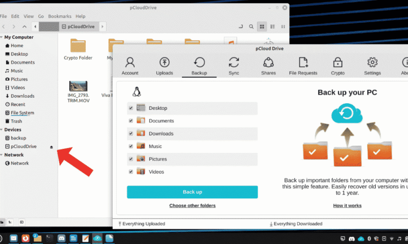 linux-cloud-backup-pcloud-interface linux cloud backup pcloud interface