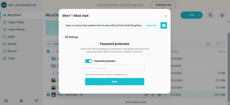 pcloud password protection