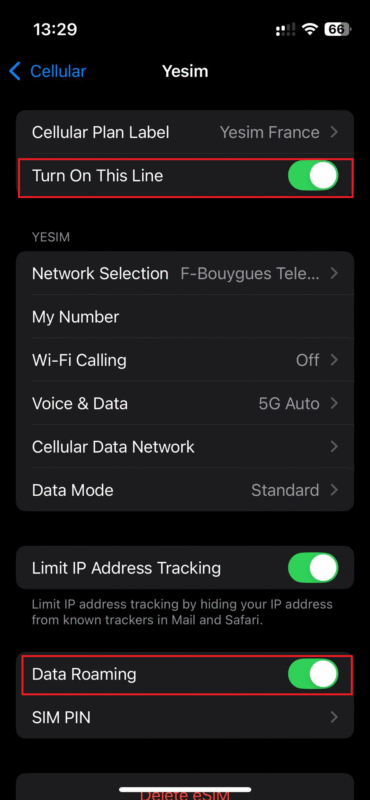 yesim enabled