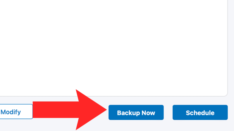 idrive backup now
