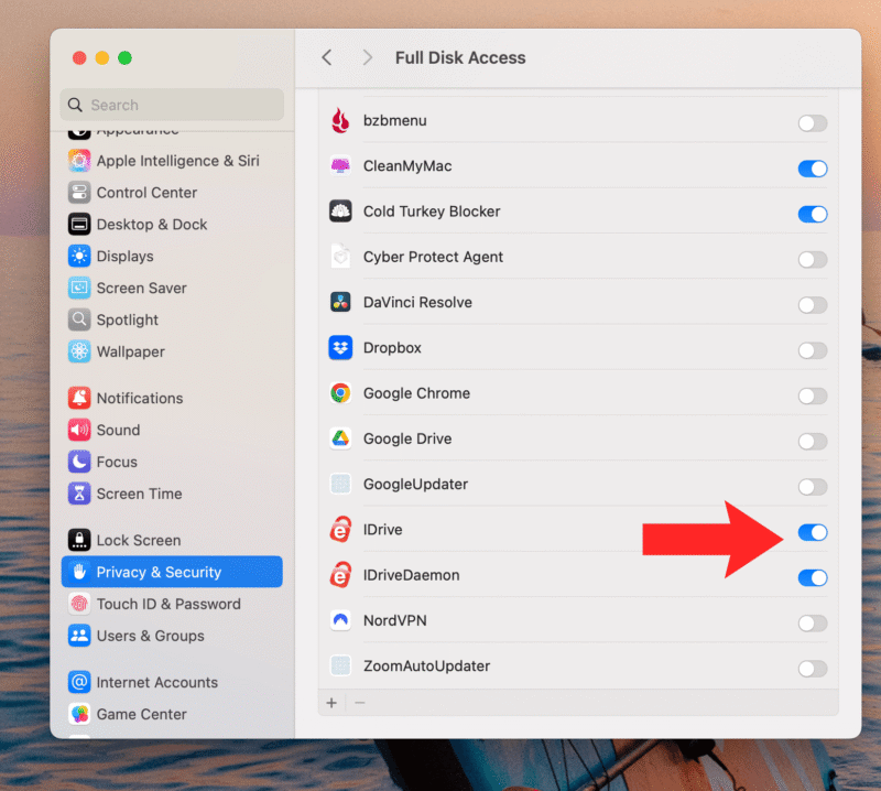 idrive full disc access