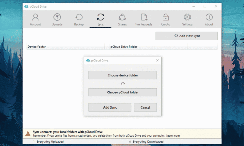 nonprofit-backup-pcloud-backup nonprofit backup pcloud backup