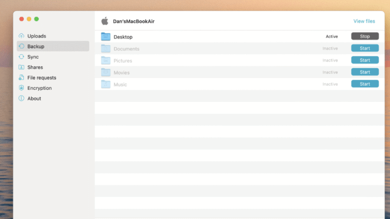pcloud backup