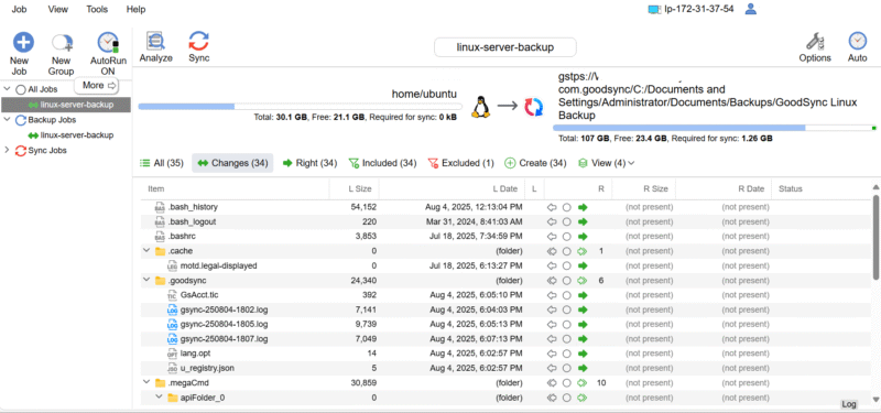 GoodSync server backup