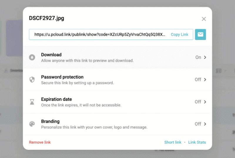 pcloud security