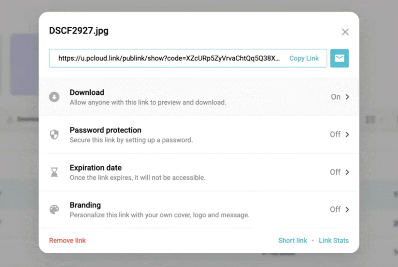 pcloud security