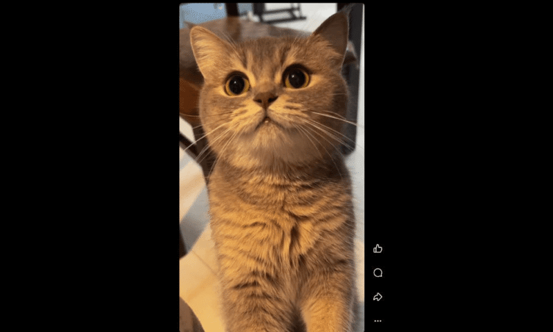 save-videos-facebook-click-video save videos facebook video